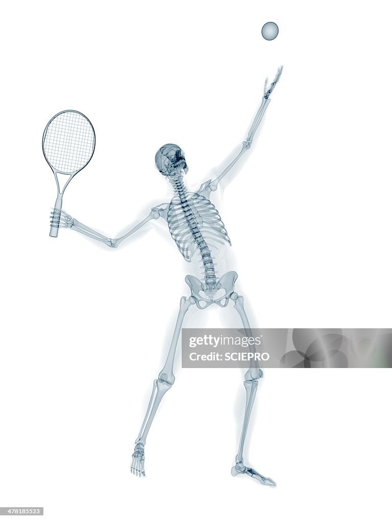 Skeleton playing tennis, artwork