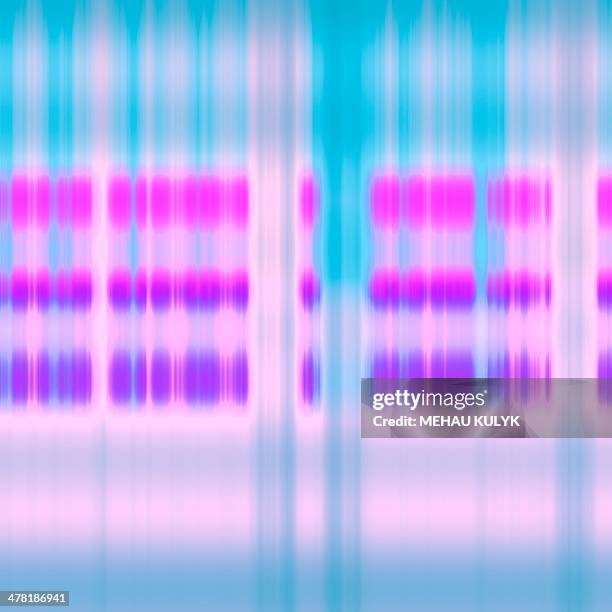 ilustraciones, imágenes clip art, dibujos animados e iconos de stock de dna sequence, artwork - nucleótido