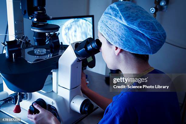 ivf treatment - in vitro fertilization stock pictures, royalty-free photos & images