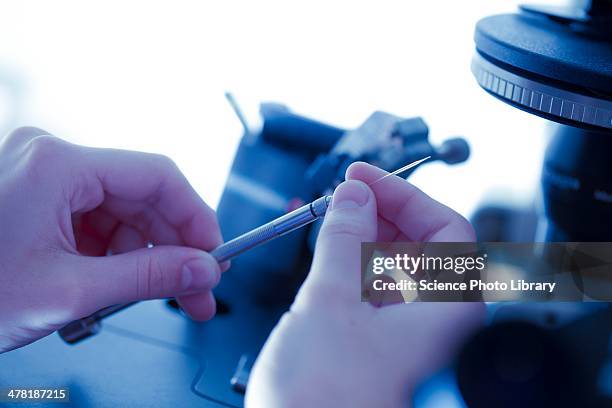 ivf treatment - contraception injection stock pictures, royalty-free photos & images