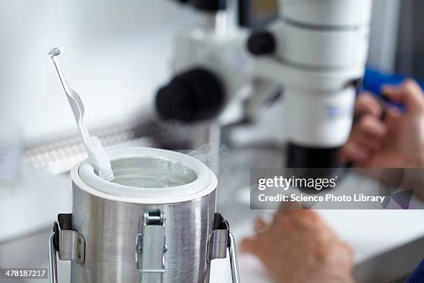 Egg Storage For Ivf, Foto de stock