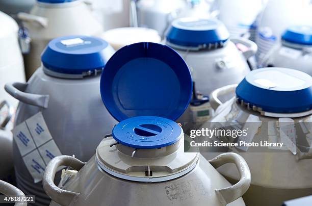 egg storage for ivf - human egg stock pictures, royalty-free photos & images