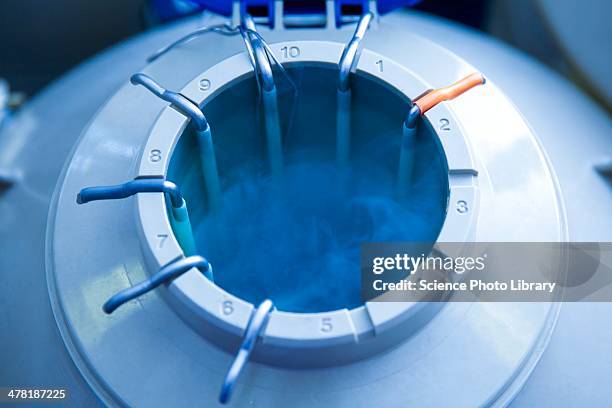egg storage for ivf - egg freezing stock pictures, royalty-free photos & images