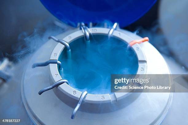 egg storage for ivf - cryogenics stockfoto's en -beelden