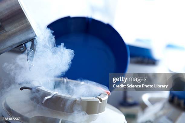 cryostorage - human egg stock pictures, royalty-free photos & images
