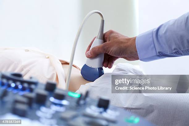 pregnancy ultrasound scan - ultraljud bildbanksfoton och bilder