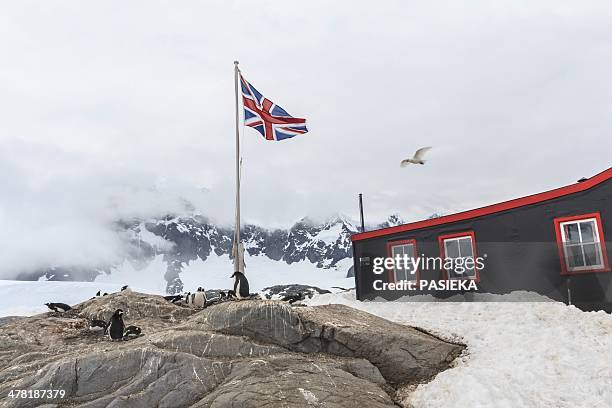 port lockroy antarctic base - antarctica stock pictures, royalty-free photos & images