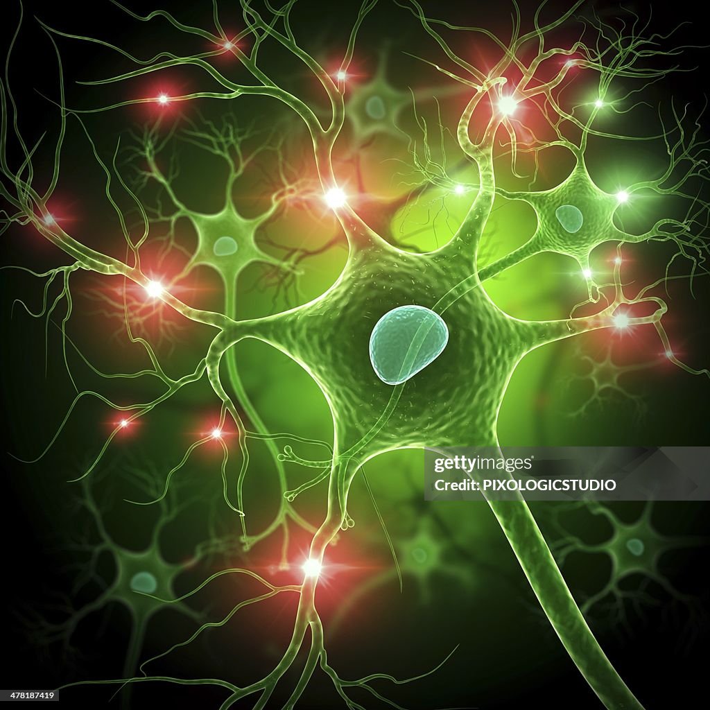 Nerve cell, artwork