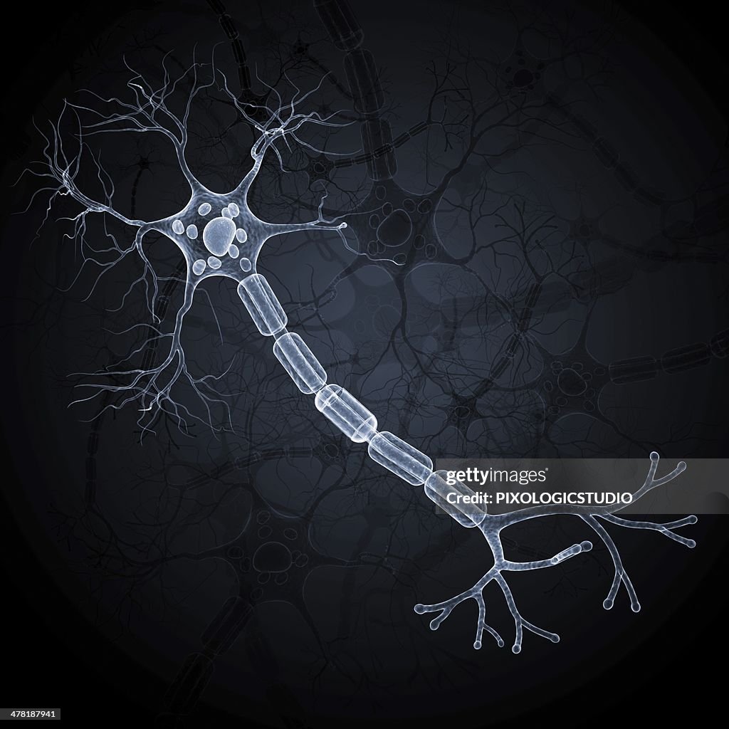 Nerve cell, artwork
