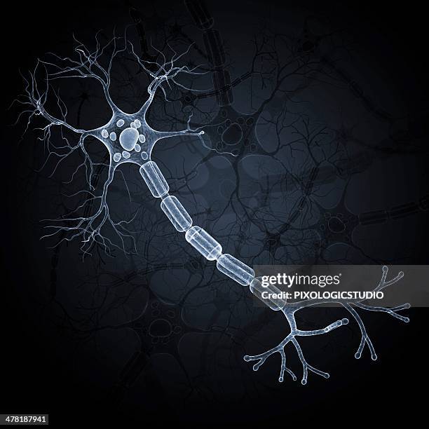 Nerve Cell Artwork, Foto de stock