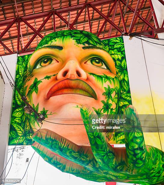 decoration for boi bumba folklore festival in parintins, amazonas, brazil - parintins stockfoto's en -beelden