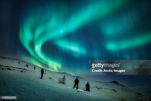 aurora borealis, abisko, sweden - swedish lapland 個照片及圖片檔