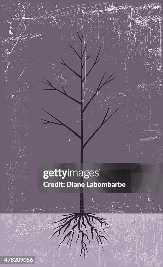 Bare Tree With Roots On A Textured Background Bare Tree With Roots On A Textured Background