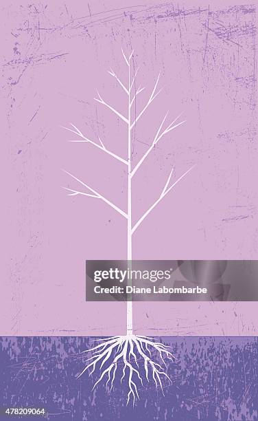 bare tree with roots on a textured background - dead tree roots stock illustrations