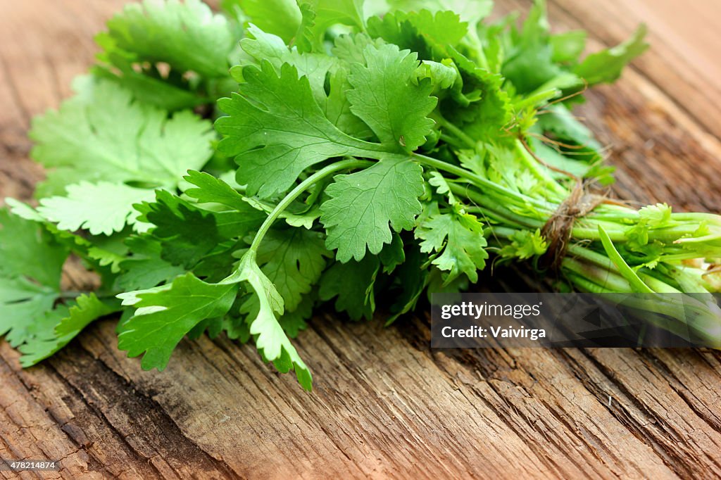 Bunch of fresh coriander on a wooden table