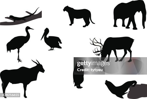 Vector animals Vector animals