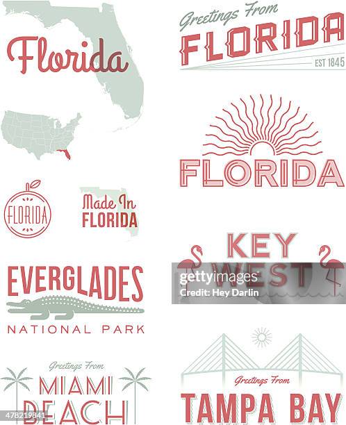 florida typografie - alligator stock-grafiken, -clipart, -cartoons und -symbole