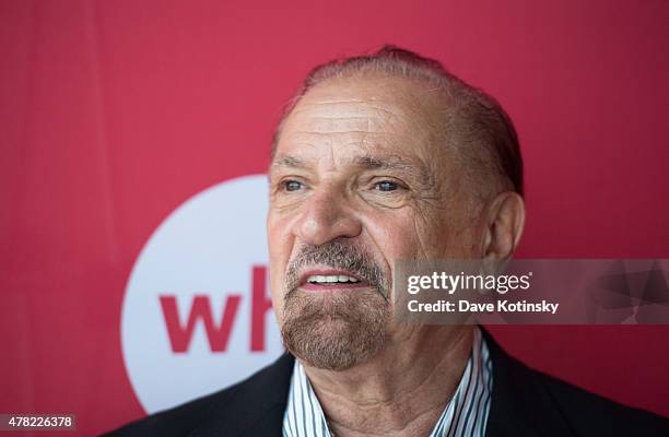 Singer Felix Cavaliere attends the 2015 WhyHunger Chapin awards gala at The Lighthouse at Chelsea Piers on June 23, 2015 in New York City.