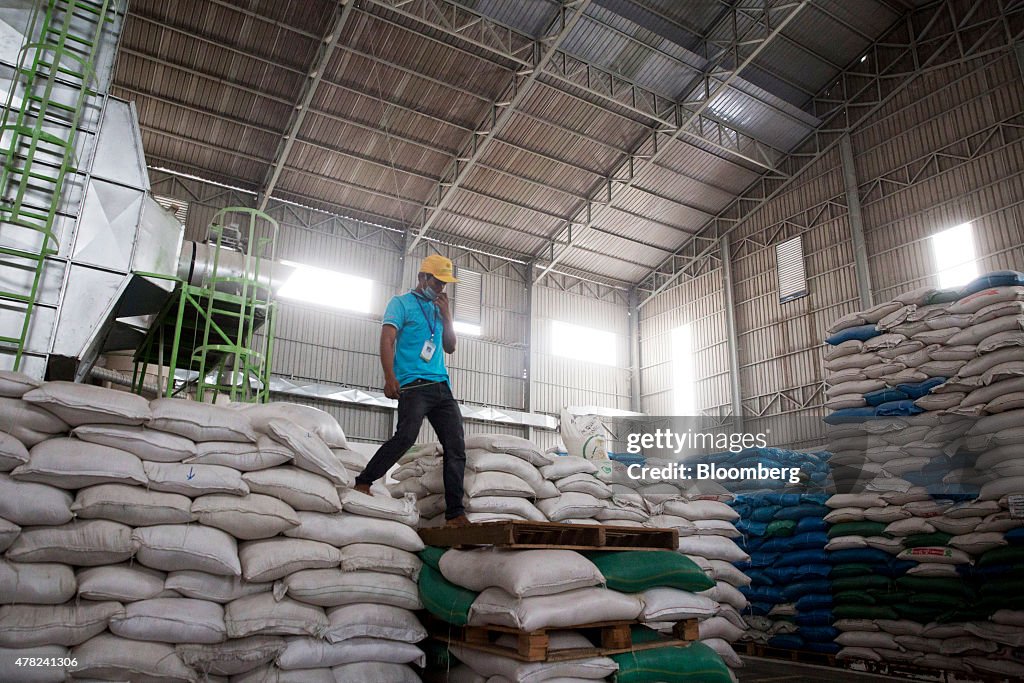 Processing At The Amru Rice Co. Mill