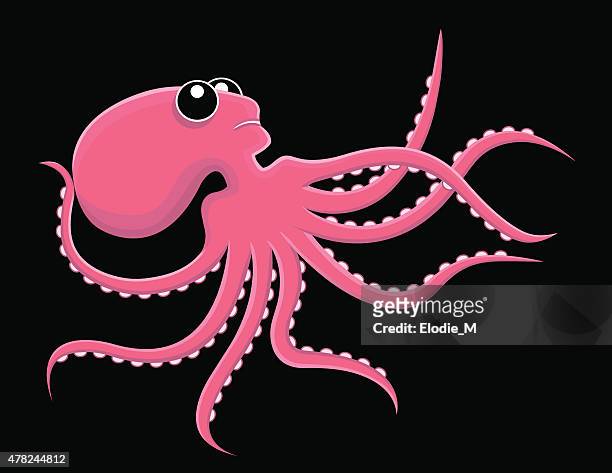Octopus Cartoon Octopus High-Res Vector Graphic - Getty Images