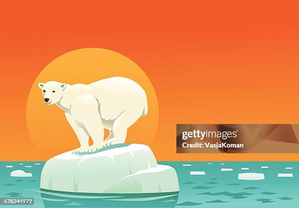 ilustrações, clipart, desenhos animados e ícones de urso polar na placa de gelo de aquecimento global, com espaço para texto - mar do norte