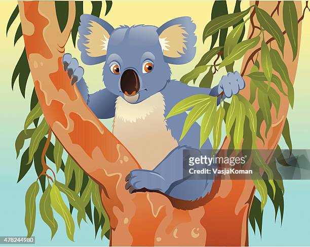 stockillustraties, clipart, cartoons en iconen met cartoon of koala in the tree - koala