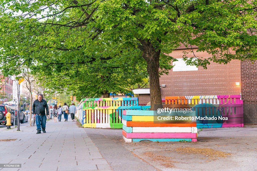 Toronto Little Italy: Tree grows in multicolor fence in the...