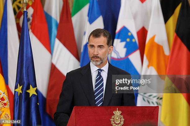 King Felipe VI of Spain attends the 30th Anniversary of Spain being part of European Communities at the Royal Palace on June 24, 2015 in Madrid, Spain