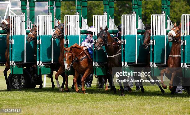 Cam Hardie riding Whitecrest stumble as they leave the starting stalls at Salisbury racecourse on June 24, 2015 in Salisbury, England.