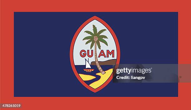 flag of guam - guam stock illustrations