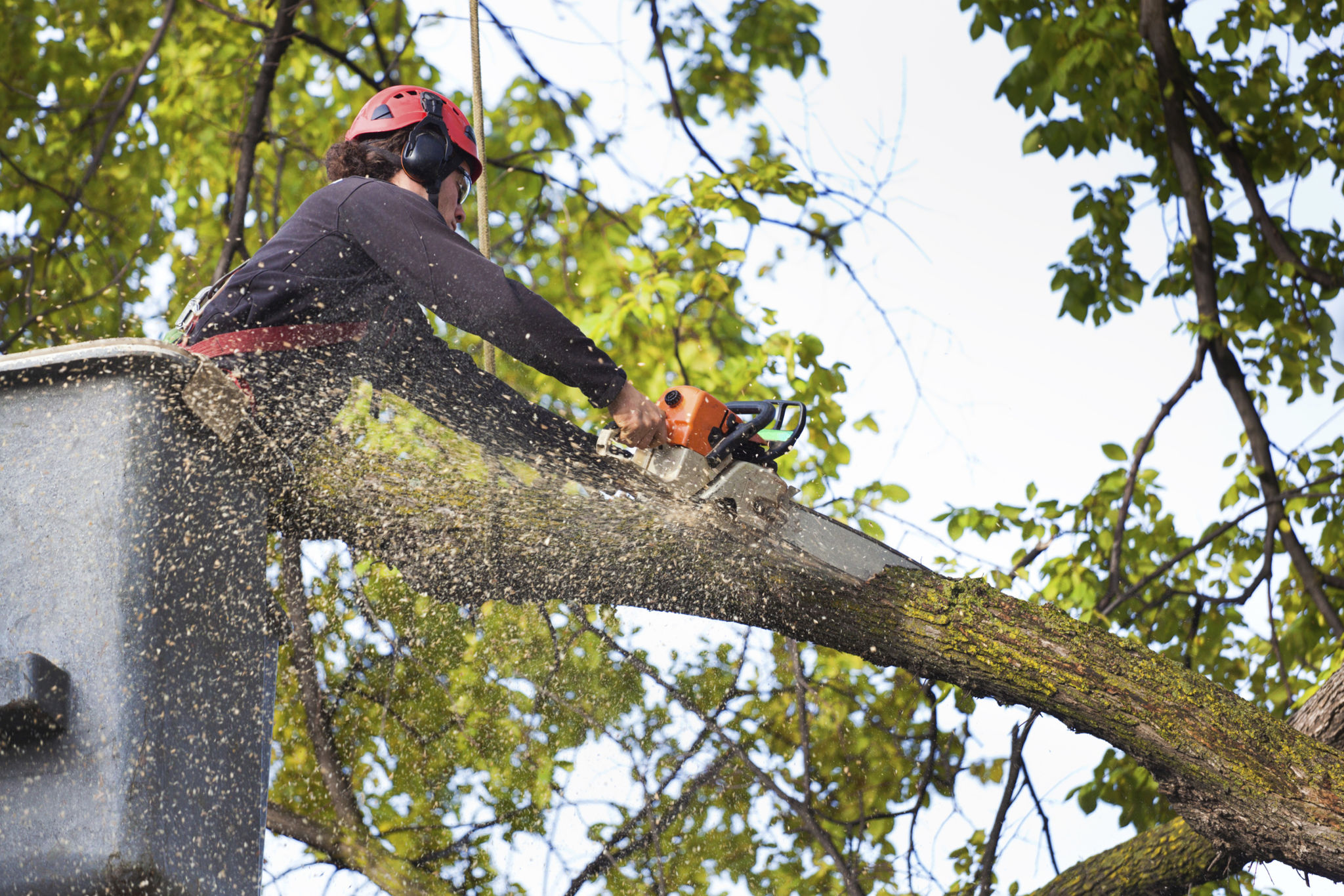 utility worker