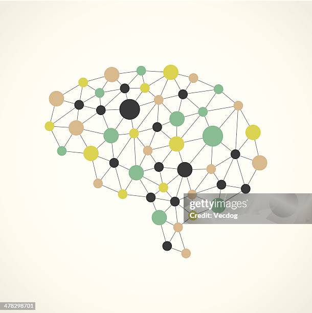 brain network - directly below stock illustrations stock illustrations