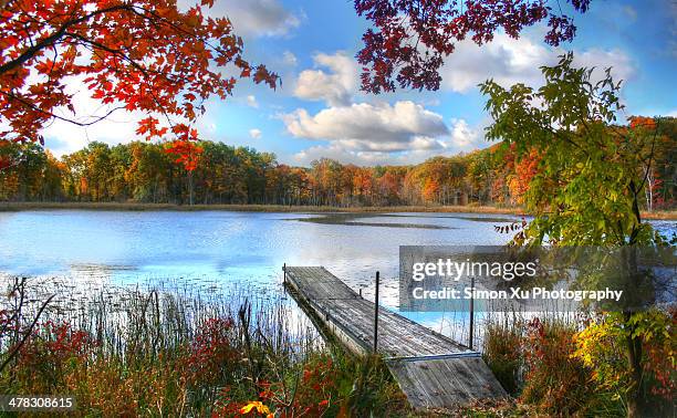 autumn's lasting impressions - clarkston michigan stock pictures, royalty-free photos & images