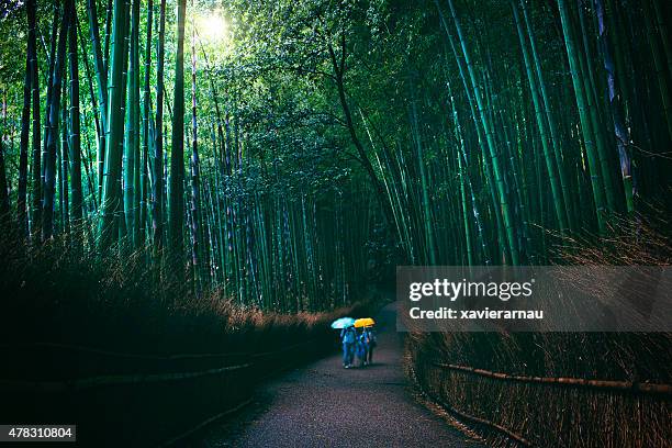familie, die bambus-wald an dunklen regnerischen tag - arashiyama stock-fotos und bilder