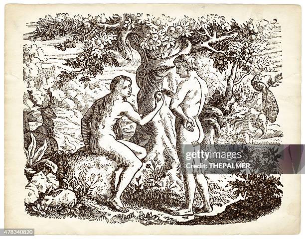 ilustraciones, imágenes clip art, dibujos animados e iconos de stock de adam y eve grabado - los siete pecados capitales