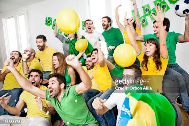 brazillian supporters - crowd of brazilian fans stockfoto's en -beelden