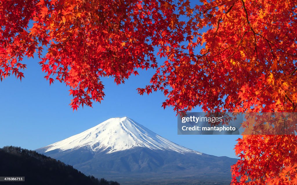Fujisan im Herbst