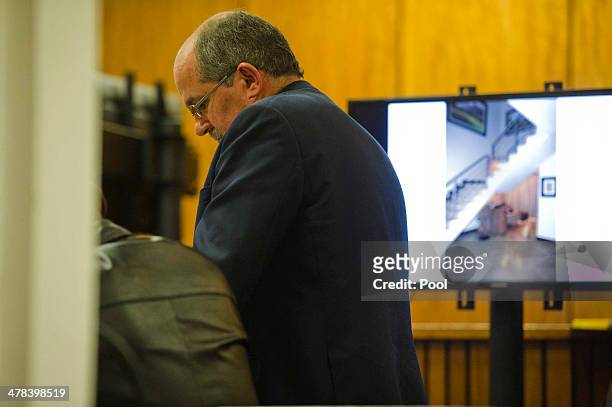 Schoombie van Rensburg at the Pretoria High Court on March 13 in Pretoria, South Africa. Pistorius, stands accused of the murder of his girlfriend,...