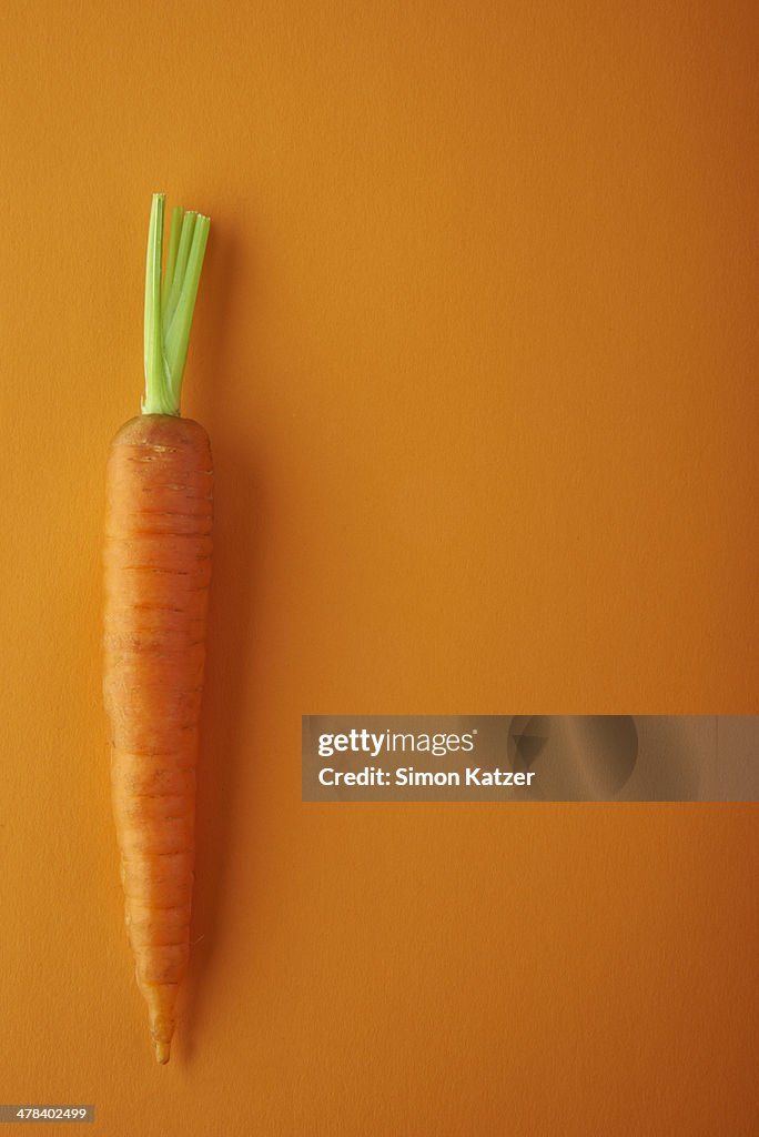 Carrot on orange ground