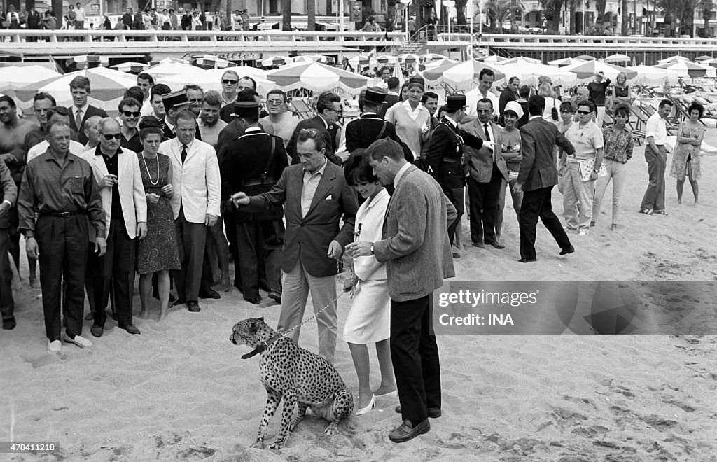 Cannes film festival 1963