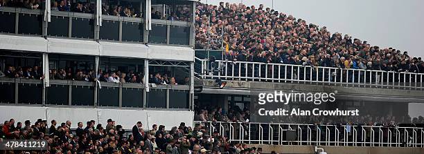 Large crowd watch the action on St Patrick's Thursday during the Cheltenham Festival at Cheltenham racecourse on March 13, 2014 in Cheltenham,...