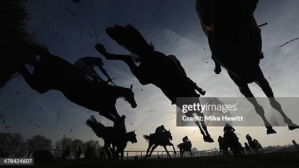 Runners and riders jump the third last in the Fulke Walwyn Kim Muir Challenge Cup Handicap Chase at Cheltenham Racecourse on March 13, 2014 in...