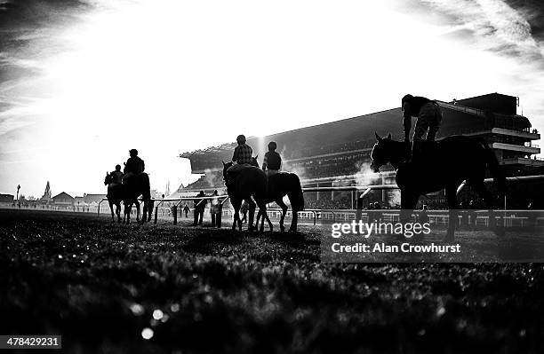 Runners return after being pulled up in The Fulke Walwyn Kim Muir Challenge Cup Handicap Steeple Chase on St Patrick's Thursday during the Cheltenham...