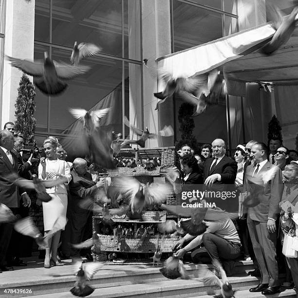 Release of birds in the presence of Tippi Hedren and Alfred Hitchcock in the Cannes film festival, on the occasion of the presentation of the movie...