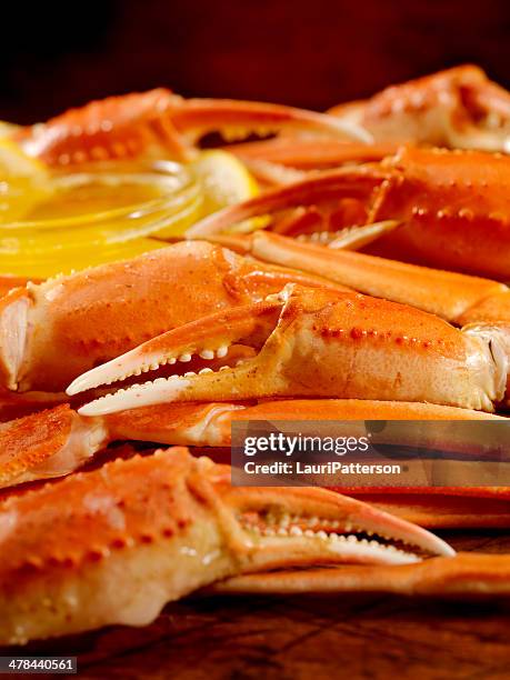 crab - crab leg stock pictures, royalty-free photos & images