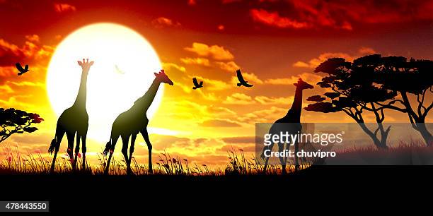 african giraffes silhouettes safari against hot sun - animals in the wild stock illustrations