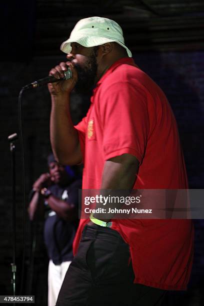 Sean Price performs during the Pete Rock "P2" Album Release Concert at Brooklyn Bowl on June 24 in New York City.