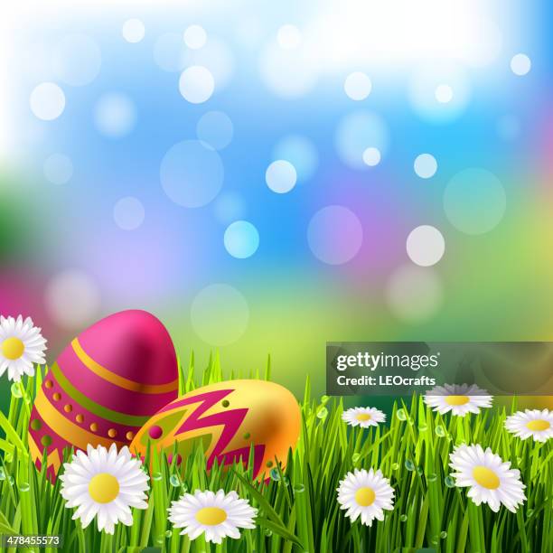 easter background - flowers dew stock illustrations