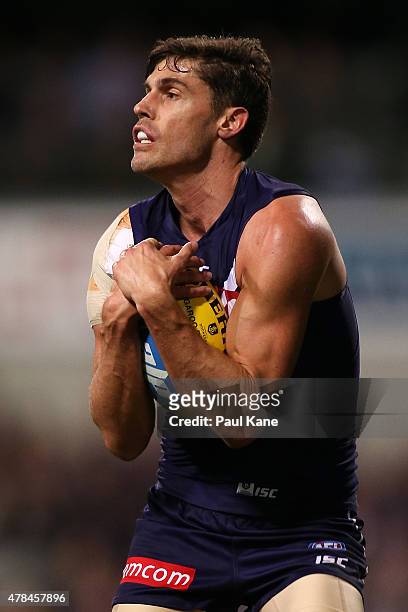 Garrick Ibbotson of the Dockers marks the ball during the round 13 AFL match between the Fremantle Dockers and the Collingwood Magpies at Domain...