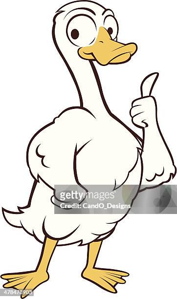 bildbanksillustrationer, clip art samt tecknat material och ikoner med white goose - thumbs up - duck